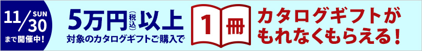 1冊プレゼントキャンペーン