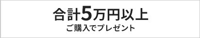5万円以上ご購入でプレゼント