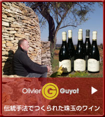 DOMAINE OLVIER GUYOT