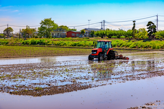 穀雨のイメージ