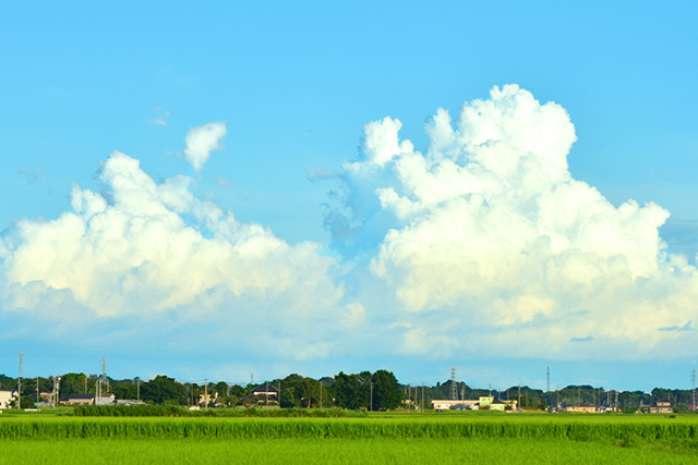 小暑の頃の鮮やかな青空と入道雲