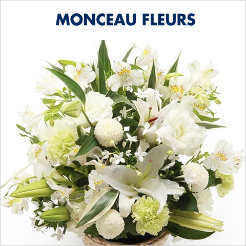 MONCEAU FLEURS モンソーフルール