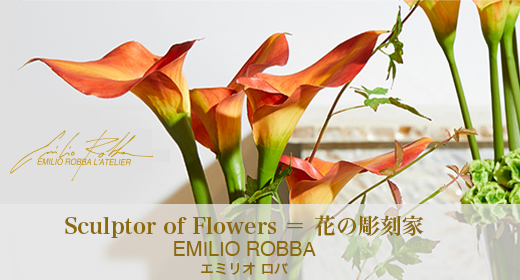 EMILIO ROBBA (エミリオ ロバ)カラー TTTTD02100 [CONCENT]コンセント