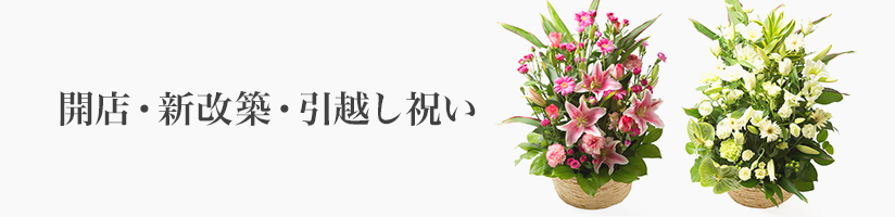 フラワーギフト　開店・新改築・引越し祝い