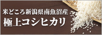 南魚沼産コシヒカリ