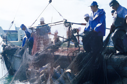 船に乗った漁師たちが海から網を引き揚げている画像