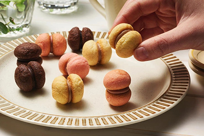 サクッチ・ホロッチ