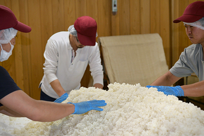 男性3人が蒸したお米と麹を手作業で混ぜている画像
