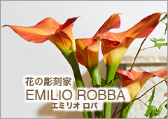 EMILIO ROBBA(エミリオ・ロバ)