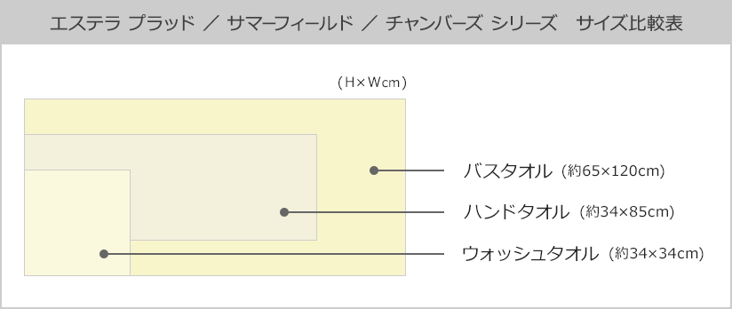 タオルサイズ