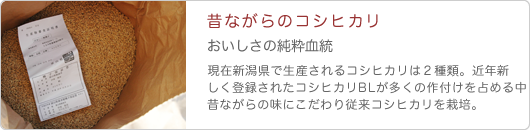 コシヒカリこだわり米の純粋血統