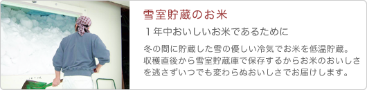 コシヒカリこだわり米の雪室貯蔵