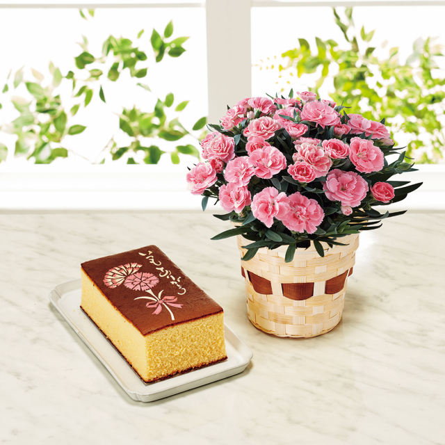 【母の日限定品】カーネーション鉢植え「オスカーピンク」４号と長﨑堂　母の日カステーラのセット