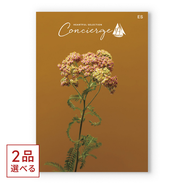 商品画像 01
