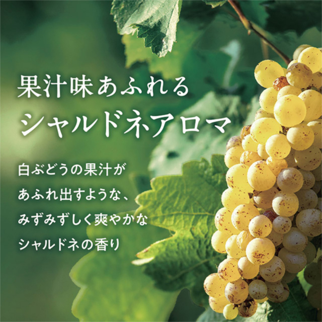 商品画像 07