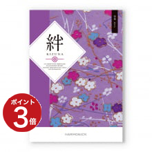 商品画像 絆（きずな） カタログギフト 未来（みらい）