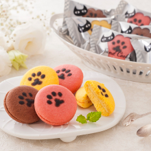 商品画像 イーペルの猫祭り　サンドクッキー