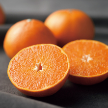 商品画像 愛媛県産せとか【お届け期間：3月上旬～3月中旬】