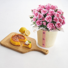 商品画像 【母の日専用】瀬戸内レモンのしっとりカステラとカーネーション鉢植え５号のセット