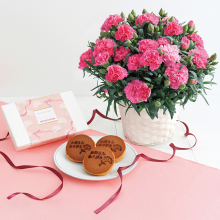 商品画像 【母の日専用】ホシファーム　カーネーション鉢植え「ホットハート」５号＆徳島なると金時のどら焼き[FMQー05C]