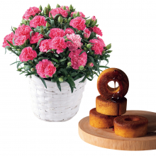 商品画像 【母の日専用】ホシファーム　カーネーション鉢植え「ホットハート」５号＆焦がしキャラメルがしみ込んだバーム[FMQー04C]