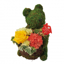 商品画像 【母の日専用】モスベアー・アレンジ
