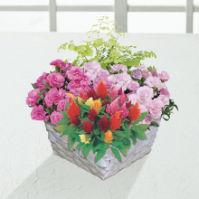 商品画像 【母の日専用】マザーズバスケット