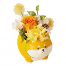 商品画像 【母の日専用】アニマルプリザ（プリザーブドフラワー）[柴犬]