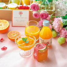 商品画像 【母の日専用】伊藤農園　果汁１００％ピュアジュース＆寒天ジュレセット[V-113h]