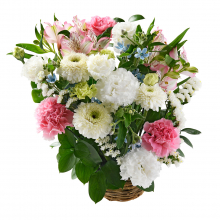 商品画像 noir et blanc（ノワール エ ブラン）アレンジ・ドゥ（Lサイズ／パステル）