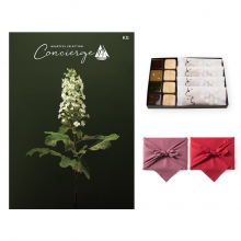 商品画像 ハートフルセレクションコンシェルジュ KSコース+<KOGANEAN>こがねもなか・こいねり・どら各4個【慶事用・風呂敷包み】