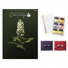 商品画像 ハートフルセレクションコンシェルジュ KSコース+ 銀座千疋屋 銀座ゼリーセット(6個入り)【慶事用・風呂敷包み】