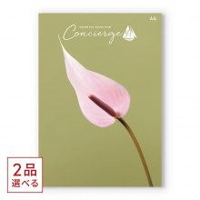 商品画像 （2品選べる）ハートフルセレクションコンシェルジュ ASコース【慶事用・風呂敷包み】