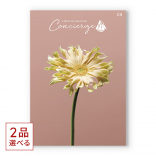 商品画像 （2品選べる）ハートフルセレクションコンシェルジュ CSコース【慶事用・風呂敷包み】