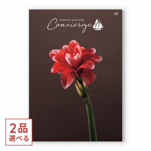 商品画像 (2品選べる)ハートフルセレクションコンシェルジュ JSコース【慶事用・風呂敷包み】
