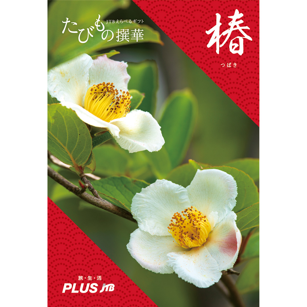 JTB たびもの撰華 カタログギフト 椿(つばき)