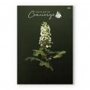 ハートフルセレクションコンシェルジュ KSコース