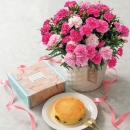 【母の日限定品】ホシファーム　カーネーション鉢植え「ホットハート」５号＆大人のチーズケーキ