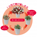 サムネイル 04