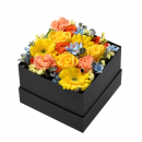 noir et blanc（ノワール エ ブラン）コフレ・ソレイユ（Lサイズ／イエロー）