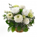 noir et blanc（ノワール エ ブラン）アレンジ・ピュール（Sサイズ／ホワイト）