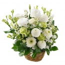 noir et blanc（ノワール エ ブラン）アレンジ・ピュール（Lサイズ／ホワイト）