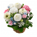 noir et blanc（ノワール エ ブラン）アレンジ・ドゥ（Sサイズ／パステル）