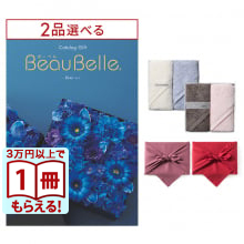 [1冊から2品選べる] BEAUBELLE （ボーベル） カタログギフト KIWI（キウイ） + Hotman 1秒タオル ホットマンカラーハンドタオル2枚セット【風呂敷包み】