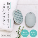 DAILY DELIGHT（デイリーディライト）スカルプブラシ