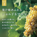 サムネイル 03